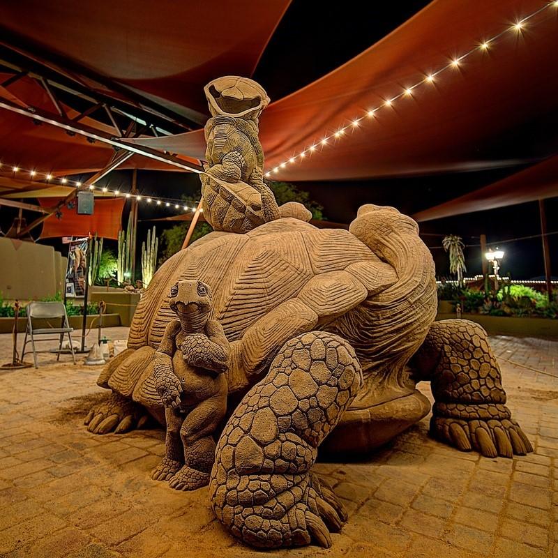 Carefree Sand Sculpture turtle